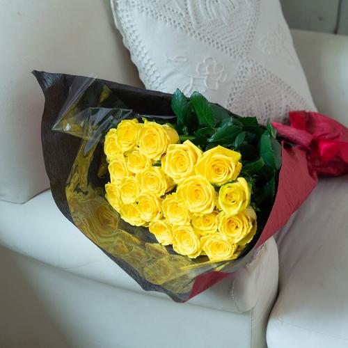 �Y�n�����o���ԑ��i20�{�j�C�G���[�n