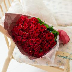 �Y�n�����o���ԑ��i50�{�j���b�h�n