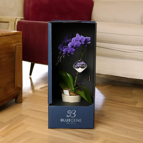 Blue Gene�i�u���[�W�[���j1�{����4