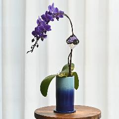 Blue Gene�i�u���[�W�[���j1�{����