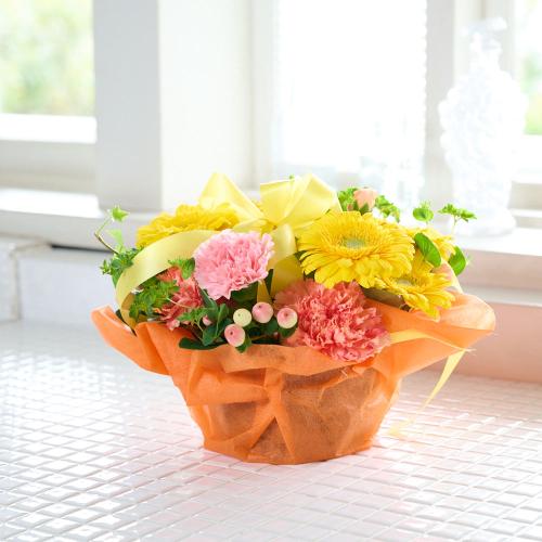 �r�^�~���J���[�A�����W�����g�u�K�[�x�����J�[�l�[�V�����v3