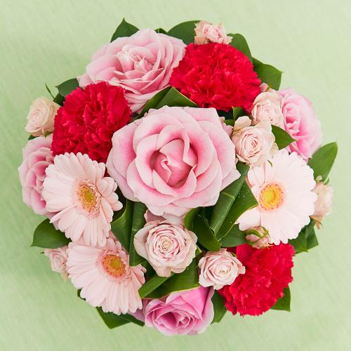 �s���N���[�Y�̃��}���e�B�b�N�A�����W�����g3