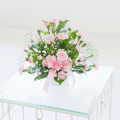 �J�[�l�[�V���� �g�D�C���N��(�s���N)2