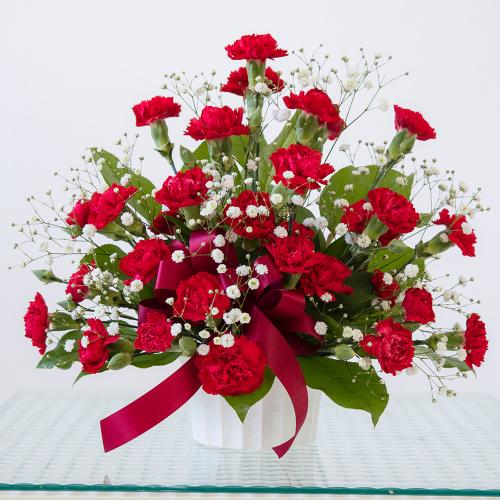 �J�[�l�[�V���� �g�D�C���N��(���b�h)