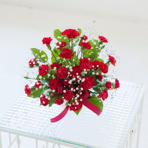 �J�[�l�[�V���� �g�D�C���N��(���b�h)2