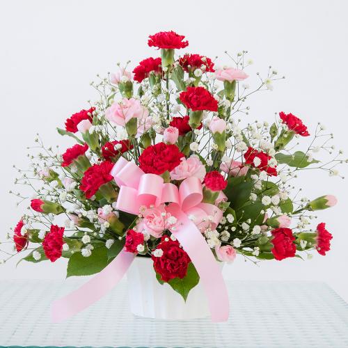 �J�[�l�[�V���� �g�D�C���N���u�~�b�N�X�v