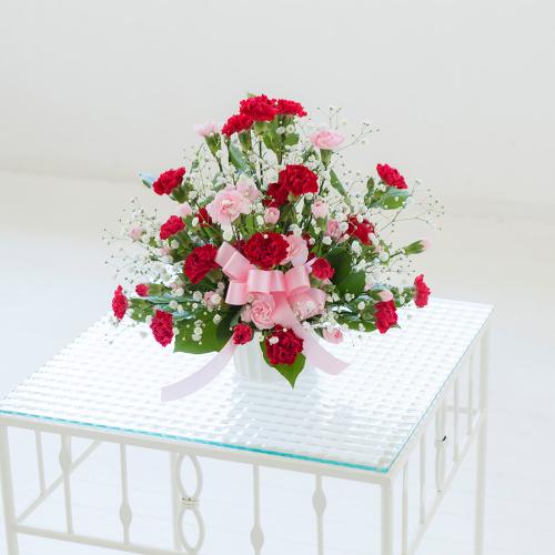 �J�[�l�[�V���� �g�D�C���N���u�~�b�N�X�v2