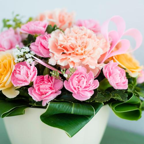 �n�[�g�t���J�[�l�[�V�����u�A�v���R�b�g�v5