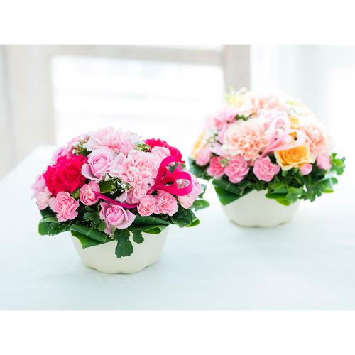 �n�[�g�t���J�[�l�[�V�����u�A�v���R�b�g�v6