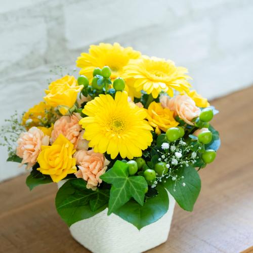 �o���ƃK�[�x���̃��u���[�A�����W�����g2