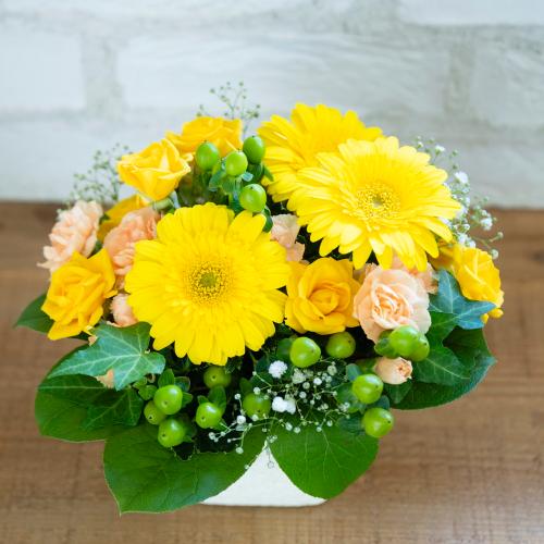�o���ƃK�[�x���̃��u���[�A�����W�����g3