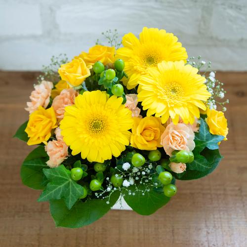 �o���ƃK�[�x���̃��u���[�A�����W�����g4