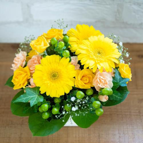 �o���ƃK�[�x���̃��u���[�A�����W�����g5