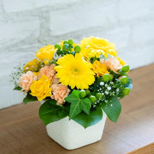 �o���ƃK�[�x���̃��u���[�A�����W�����g6