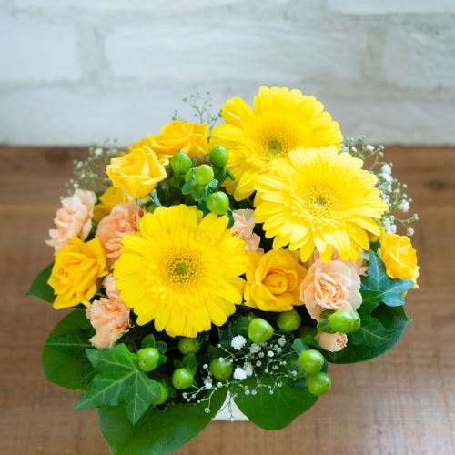 �o���ƃK�[�x���̃��u���[�A�����W�����g7