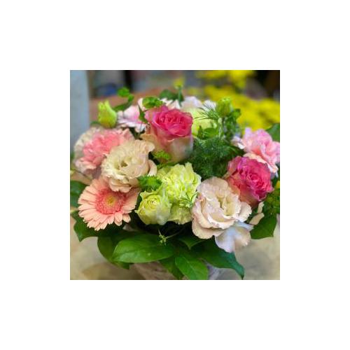  �v���ɂ��܂��� �A�����W�����g�u�s���N�n�v3,850�~4