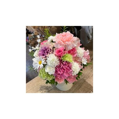  �v���ɂ��܂��� �A�����W�����g�u�s���N�n�v3,850�~5