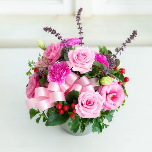 �v���ɂ��܂��� �A�����W�����g�u�s���N�n�v5,500�~3