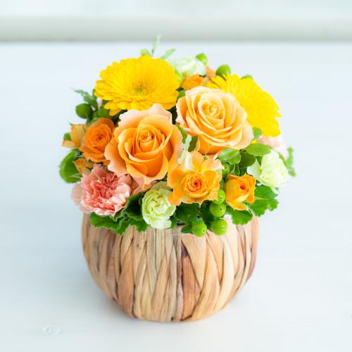 �v���ɂ��܂��� �A�����W�����g�u���F�E�I�����W�n�v3,850�~