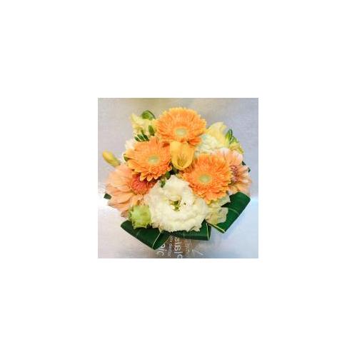 �v���ɂ��܂��� �A�����W�����g�u���F�E�I�����W�n�v3,850�~4