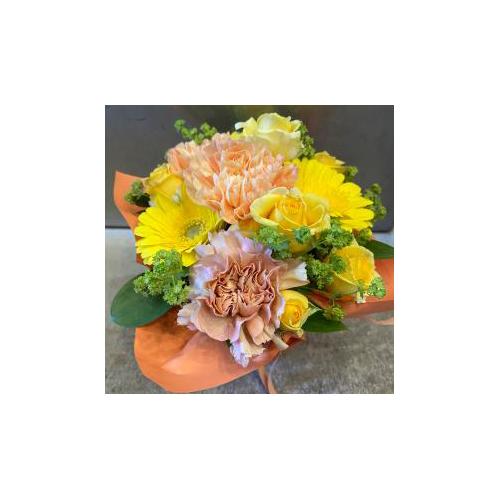 �v���ɂ��܂��� �A�����W�����g�u���F�E�I�����W�n�v3,850�~5