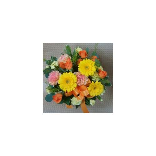 �v���ɂ��܂��� �A�����W�����g�u���F�E�I�����W�n�v5,500�~5