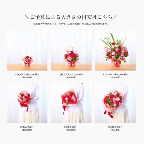 �v���ɂ��܂��� �A�����W�����g�u���F�E�I�����W�n�v5,500�~6