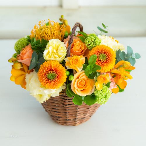 �v���ɂ��܂��� �A�����W�����g�u���F�E�I�����W�n�v8,800�~