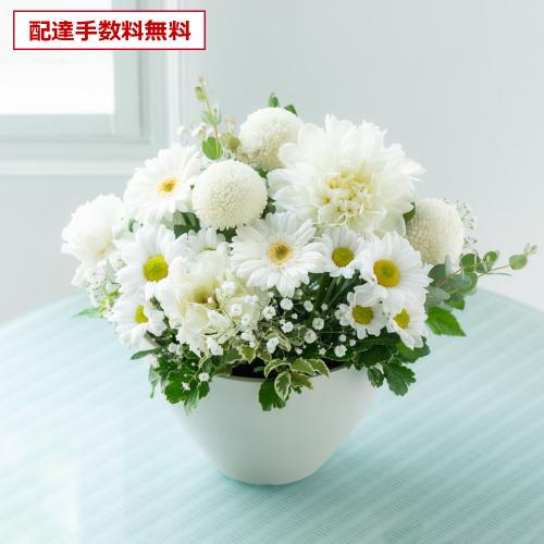 �y������݁E�������z�v���ɂ��܂��� �A�����W�����g�u���オ��v5,500�~