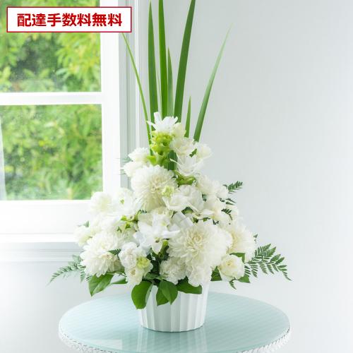 �y������݁E�������z�v���ɂ��܂������؃A�����W�����g���オ��11,000�~