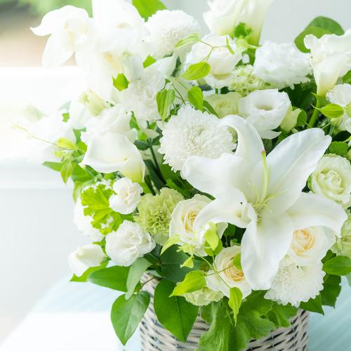 �y������݁E�������z�v���ɂ��܂������؃A�����W�����g���オ��13,200�~2