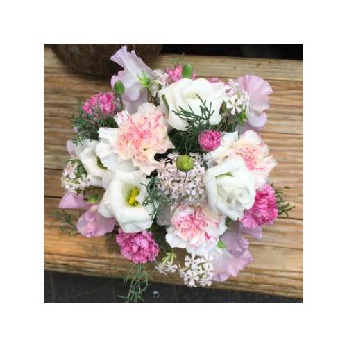 �y������݁E�������z�v���ɂ��܂����A�����W�����g �W���F���� 3,850�~6