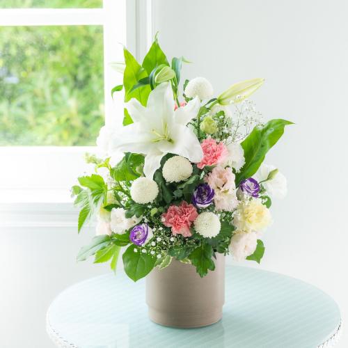 �y������݁E�������z�v���ɂ��܂��� �A�����W�����g �W���F���� 8,800�~