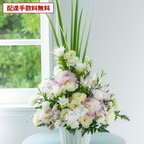�y������݁E�������z�v���ɂ��܂������؃A�����W �W���F���� 11,000�~