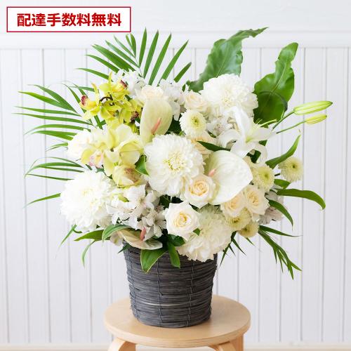 �y������݁E�������z�v���ɂ��܂��� ���؃A�����W�����g�u���オ��v