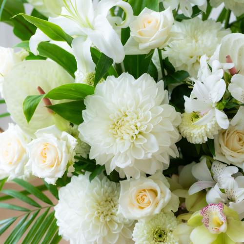 �y������݁E�������z�v���ɂ��܂��� ���؃A�����W�����g�u���オ��v5