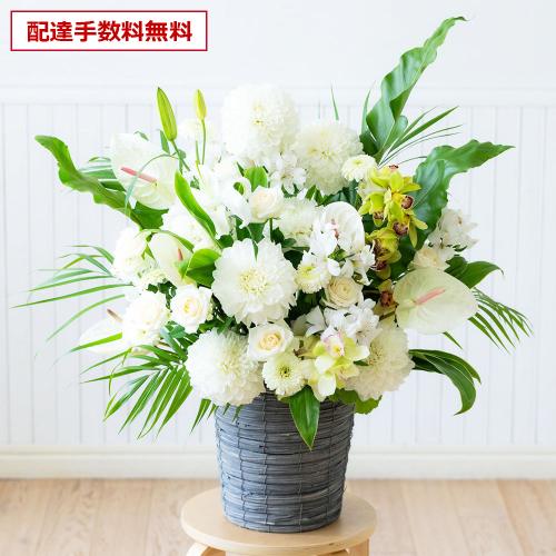 �y������݁E�������z�v���ɂ��܂������؃A�����W�����g�u���オ��v