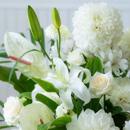 �y������݁E�������z�v���ɂ��܂������؃A�����W�����g�u���オ��v7