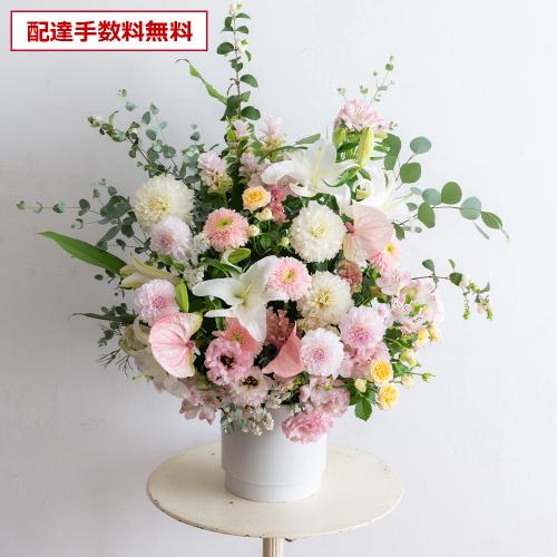  �v���ɂ��܂��� ���؃A�����W�����g�u�W���F����v