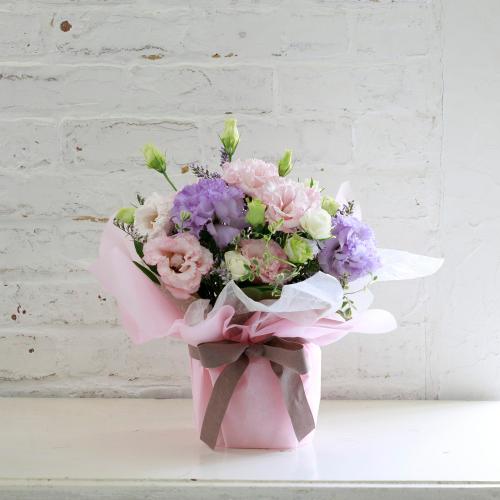 �g���R�M�L���E���ꂽ�s���N�E�p�[�v���n���܂����A�����W5