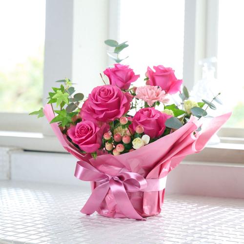 �s���N�o������ꂽ�s���N�n���܂����A�����W2