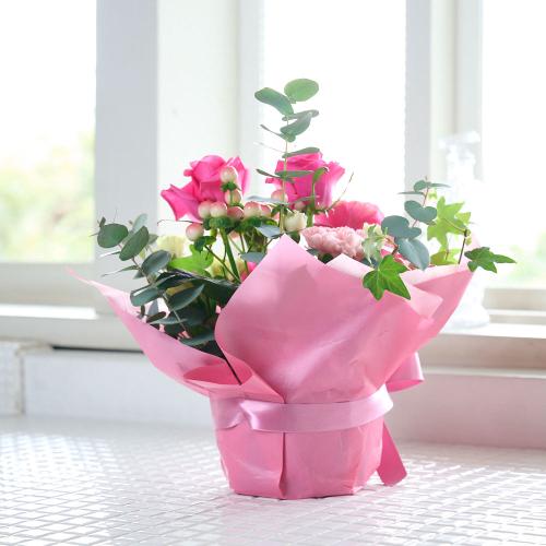 �s���N�o������ꂽ�s���N�n���܂����A�����W3