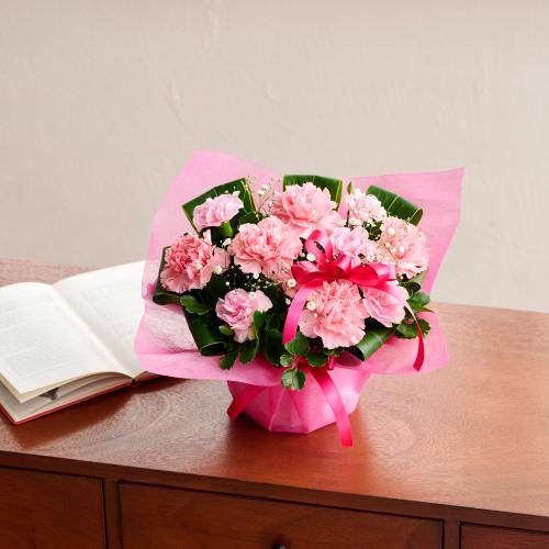 �T���N�X�A�����W2026�u���肪�Ƃ��̋C�����v�y�[���s���N7
