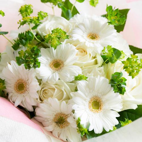 �o���ƃK�[�x���̃z���C�g���E���h�u�[�P2