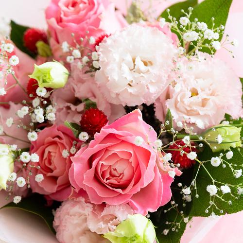 �G���K���g�u�[�P�u�o���ƃg���R�M�L���E�v3