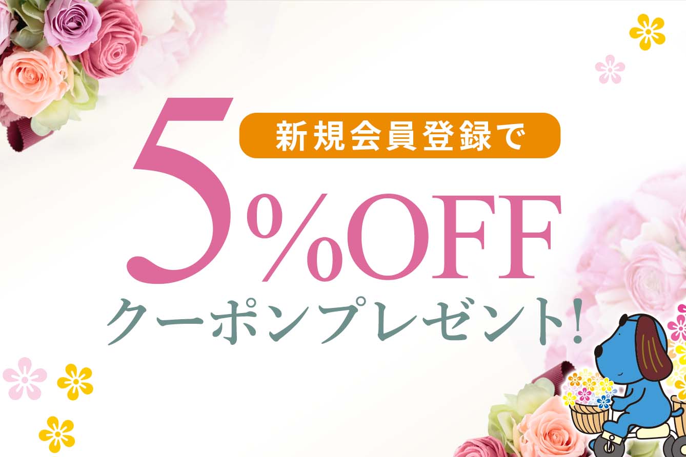 �V�K����o�^5��OFF