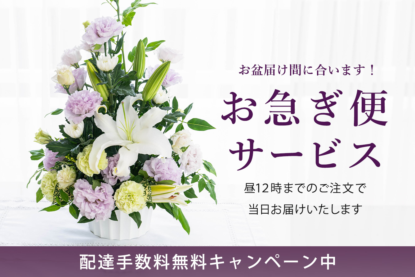 �z�B�萔�����L�����y�[�����{�����~���}���փT�[�r�X�Ƃ́H