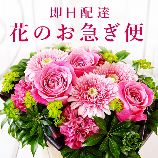 お急ぎ便サービス