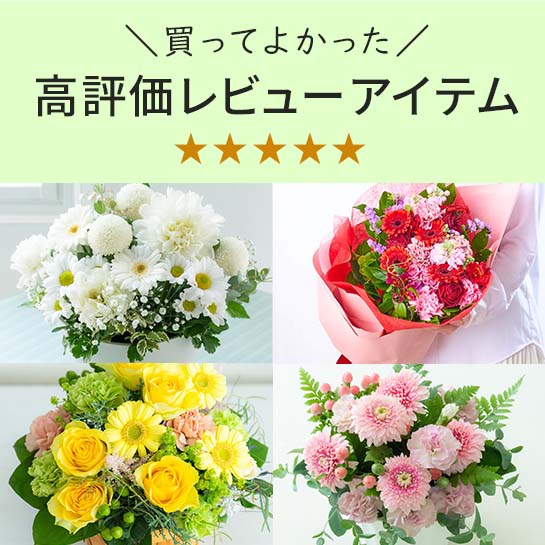 ���R�~�̕]���������t�����[�M�t�g�����Љ�