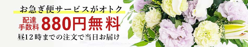 �����z�B�I���}���ւ������Ҍ����B��12���܂ł̂������œ������͂��B���p�r�ɉ����ĊȒP�Z�~�I�[�_�[